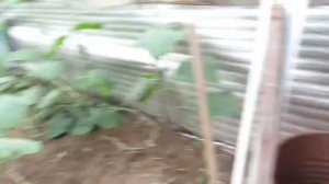 Система отопления открытого типа.