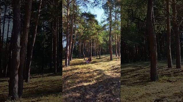 Что если Луна это женщина... смотреть онлайн