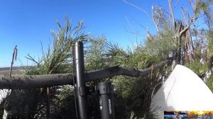 ОХОТА НА ГУСЯ В МАРИЙ ЭЛ , ПАРОЧКА ХОРОШИХ ДНЕЙ ГУСЯ МНОГО .