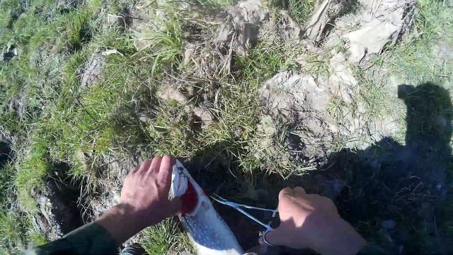 Рыбалка на щуку смотреть онлайн