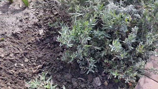 Строительные Идеи