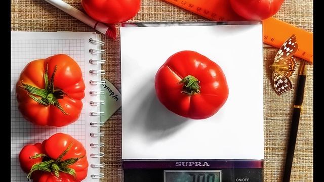 томат Супермарманде смотреть онлайн