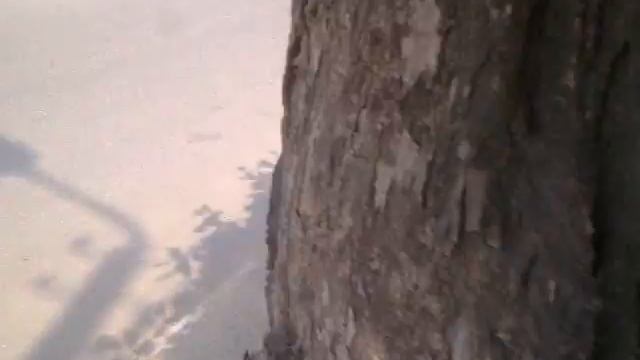 Видео0014.3gp смотреть онлайн