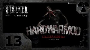 S.T.A.L.K.E.R. HARDWARMOD "Трудная война" v3.2. Часть 13 - Положенец.