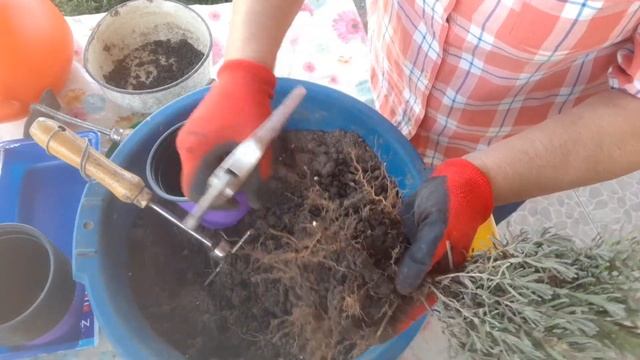 Готовка в Кемпинге и на Походах