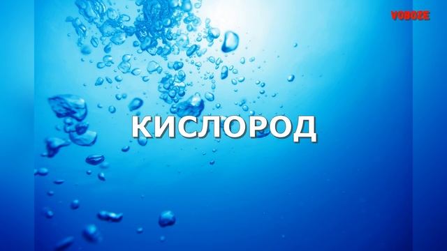 Почему АКВАРИУМНЫЕ РЫБКИ не едят КОРМ смотреть онлайн