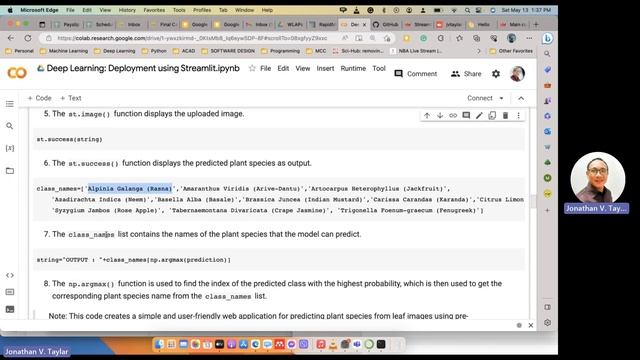 Final Demo - Deep Learning Model Deployment using Streamlit смотреть онлайн