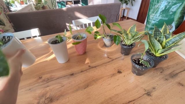 ПЛЮСЫ и МИНУСЫ минерального грунта. Результат эксперимента смотреть онлайн