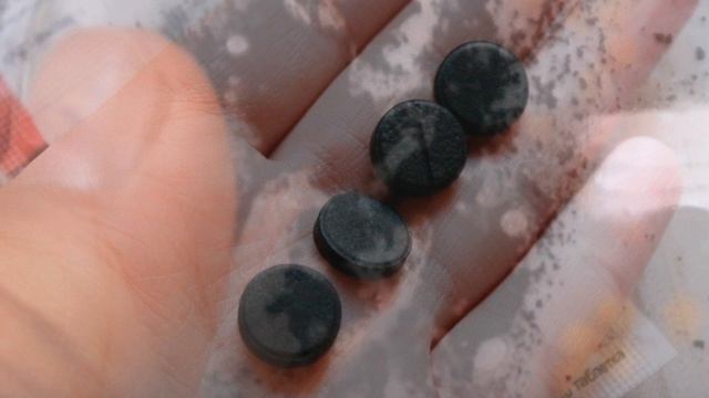 ОТЛИЧНАЯ ВСХОЖЕСТЬ СЕМЯН ПЕРЦА, ТОМАТА И ДРУГИХ РАСТЕНИЙ ОБЕСПЕЧЕНА! смотреть онлайн