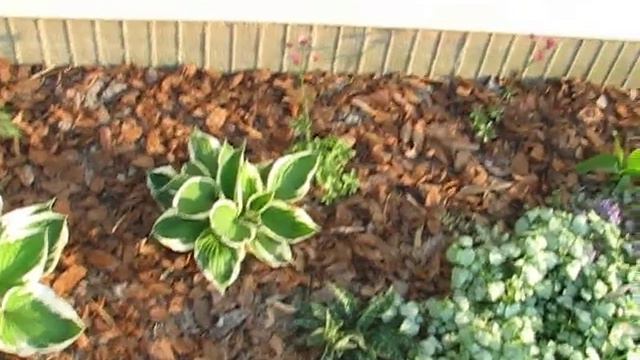 North side garage garden смотреть онлайн