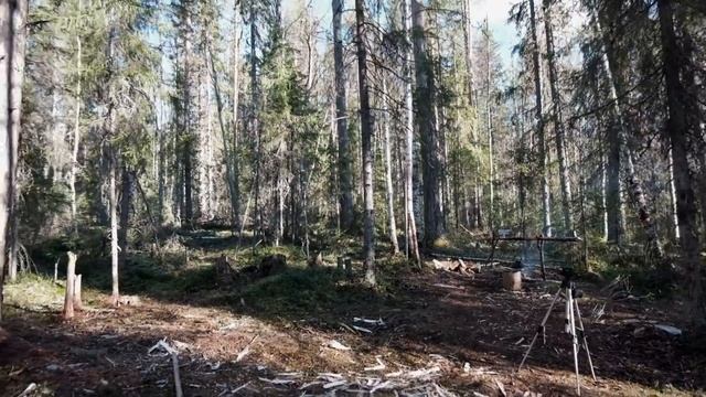 Два отца и два сына. Поход в лес.