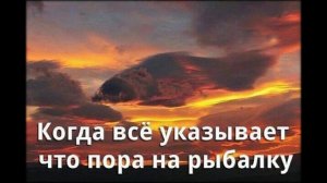 фион 37 рыбалка