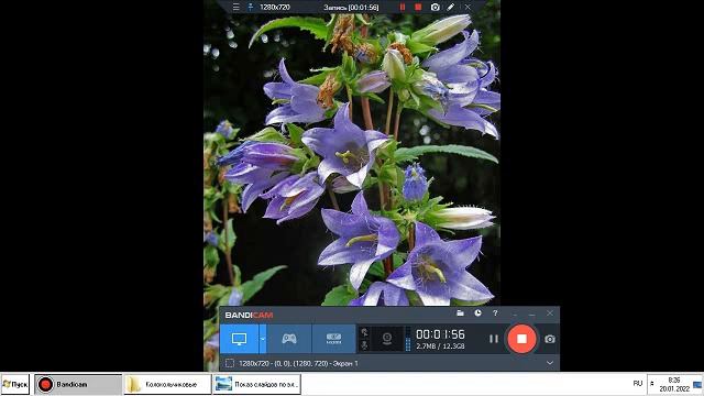вскармливание коровьем молоком и молоко матери смотреть онлайн