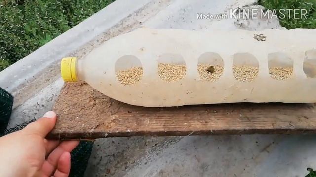 Кормушка для циплят своими руками без затрат, цветочки, хозяйство смотреть онлайн