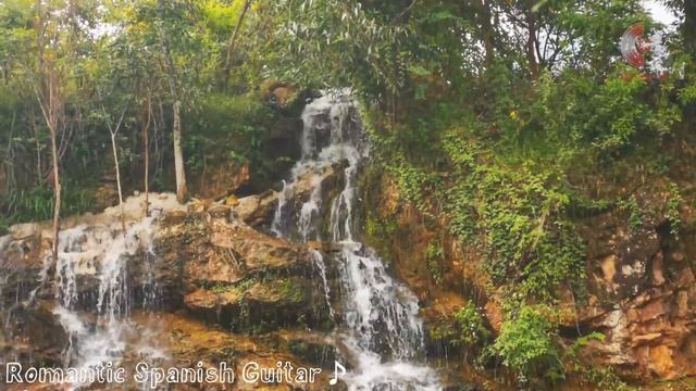 Spanish Guitar: Romantic Music, Background Music | Relaxing of Bolero - Rumba - Cha Cha Cha смотреть онлайн