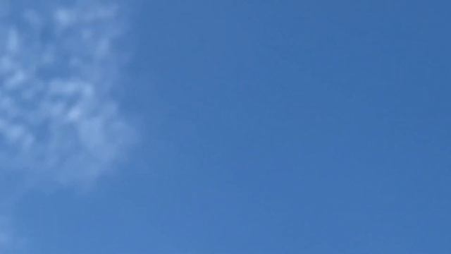 Голуби Слюнченко Ивана Ростовская область орловский район 16.10.2023 смотреть онлайн