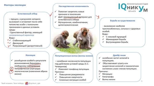 Эволюционные теории, факторы эволюции смотреть онлайн