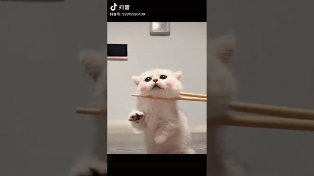 ♡ 4 смотреть онлайн