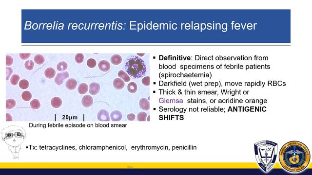 Spirochetes And Friends 2021
