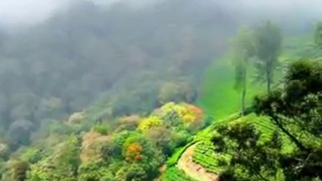 Индия - мифическая и реальная смотреть онлайн