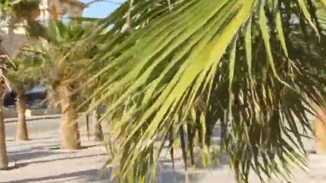 Сахл-Хашиш/ прогулка по набережной /Sahl-hasheesh