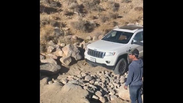 Quadra Trac 1 Vs Quadra Trac 2 Vs Quadra Drive