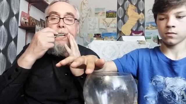 Родина слышит, как гуси летают! Поздравление [16.06.2022] смотреть онлайн