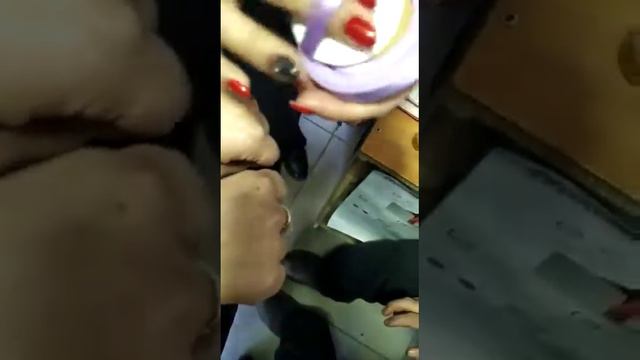 Iseul сериясынын кушону, соонун продукция тоналка жана пудра катары колдонулат. смотреть онлайн