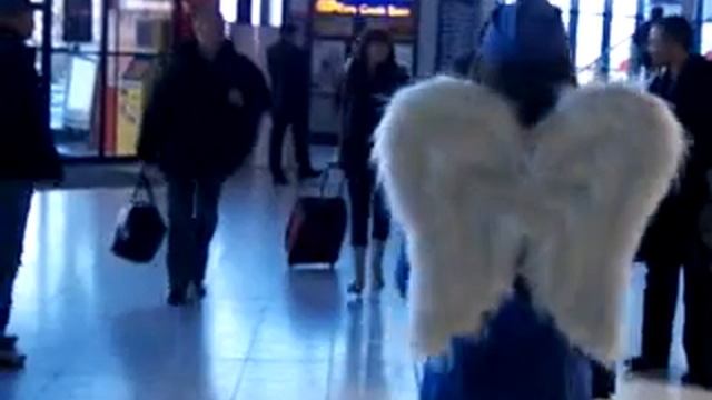 On the wings of love смотреть онлайн