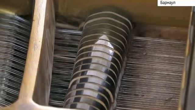 Творческая школа для одаренных детей смотреть онлайн