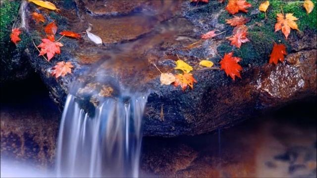 Valse Brillante/Abraham Mulder смотреть онлайн