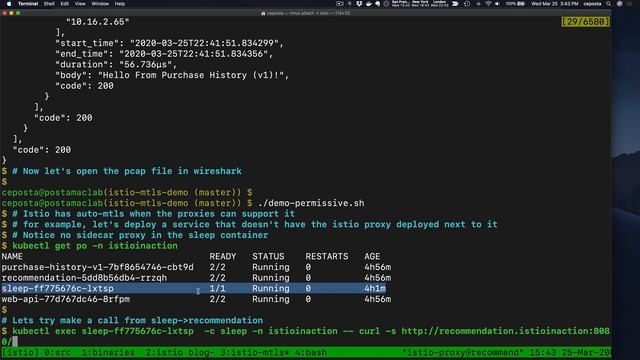 Istio Auto mTLS and JWT (Istio 1.5) Part One смотреть онлайн