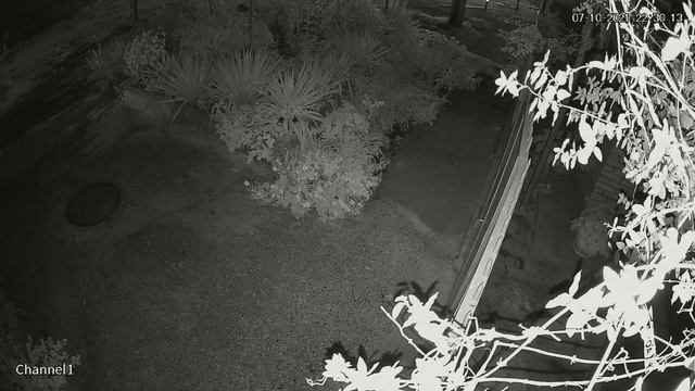 7.10.21г в 22ч30мин.в г.Краснодаре Кубанский казак нагадил посреди города показал лицо Кубаноида. смотреть онлайн