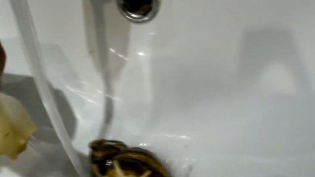 Мои Улитки! Пополнение Уход за улитками!