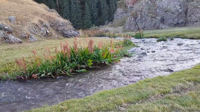 Исток горной реки смотреть онлайн