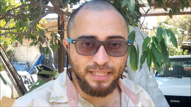 Lichis fruta, Litchi, lichi, lechias, litche, Litchi chinensis смотреть онлайн