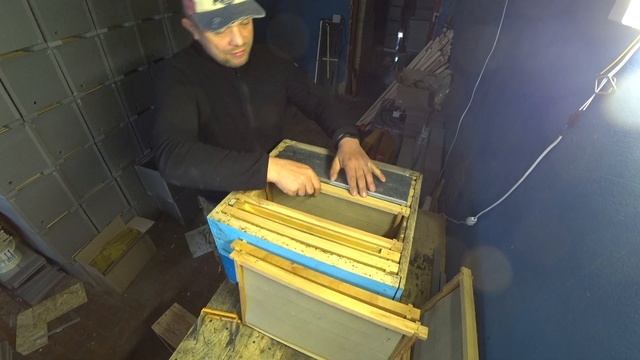 Выращивание маток раней Весной. Изолятор для маток. смотреть онлайн