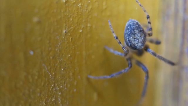 Уникальные персонажи 3Д граффити этого художника вот-вот сойдут с кирпичных стен улиц смотреть онлайн