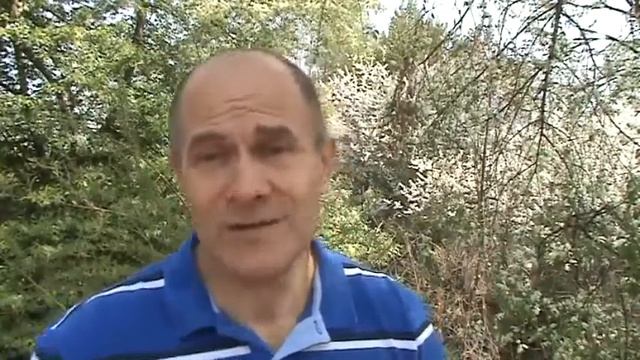 Сергей Гаранин. ДУХОВНАЯ СИЛА РАСТЕНИЙ смотреть онлайн