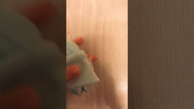 ЧТО НУЖНО ВЗЯТЬ БАСИКУ С СОБОЙ В ДЕРЕВНЮ,НА ДАЧУ ИЛИ НА МОРЕ. смотреть онлайн