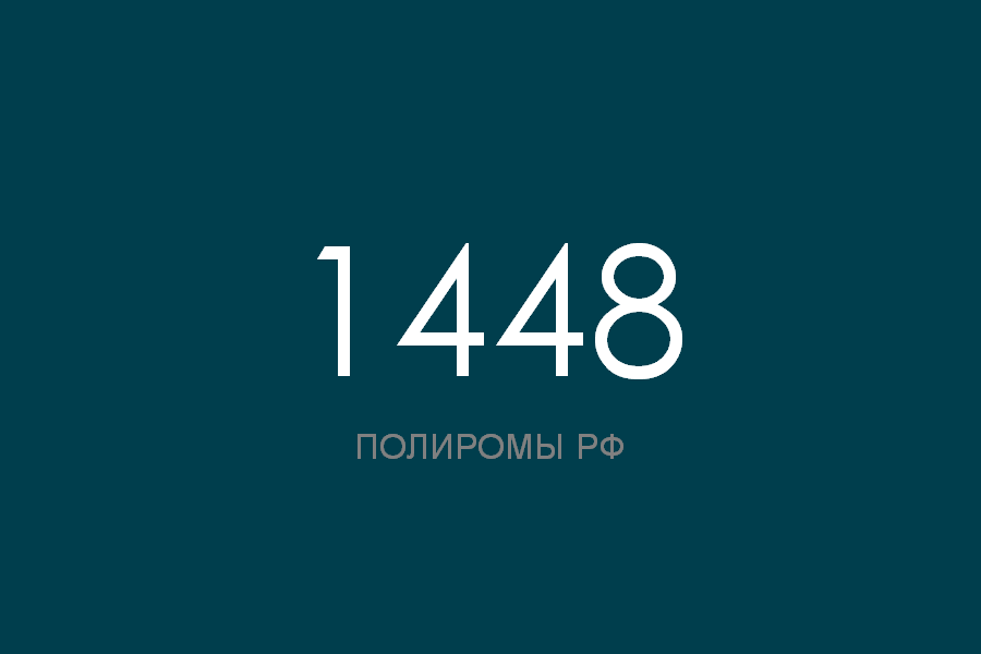ПОЛИРОМ номер 1448 смотреть онлайн