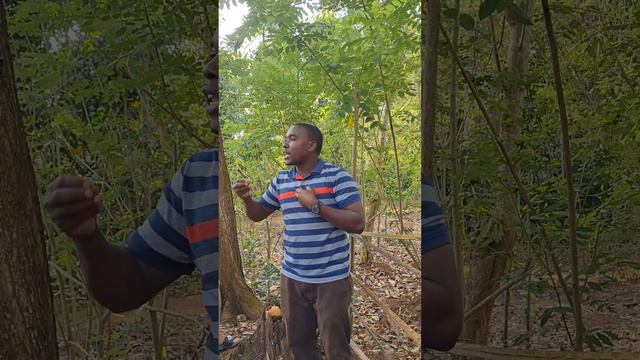 Ваниль - куст паразит, самая дорогая специя в Африке, Занзибар смотреть онлайн