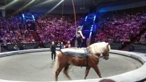 Открытая репетиция в цирке на Вернадского ч 1