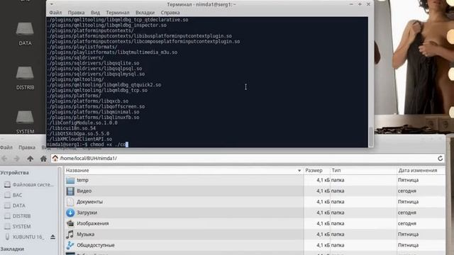 Установка клиента для видеонаблюдения Polyvision, Partizan и т.п. на Ubuntu 16.04 x64 смотреть онлайн