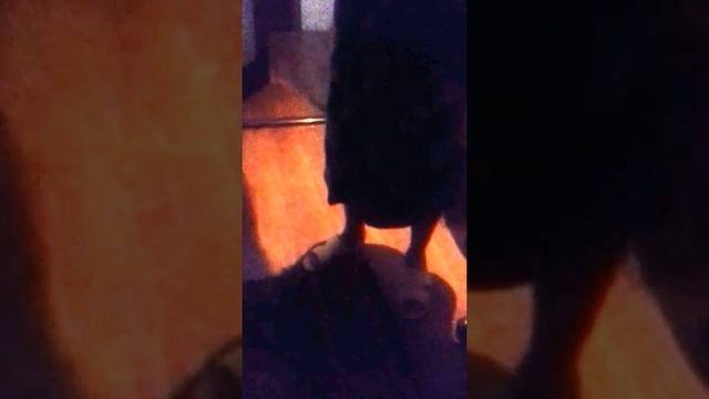 Где мои тапочки??? смотреть онлайн