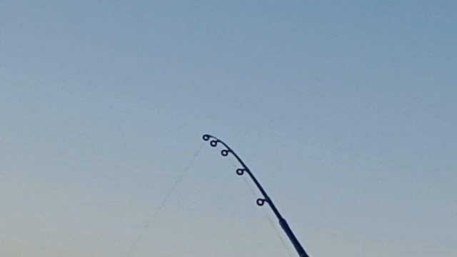 ‼️Тарань клюет одна за одной 🎣‼️ смотреть онлайн