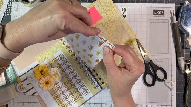 Cactus Book Part 2 смотреть онлайн