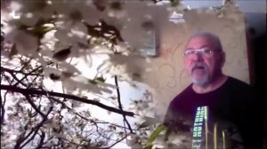 Д.Луиджи - «Вишнёвый сад», соло на трубе Сергей Гершенович