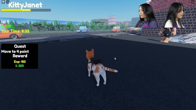 Cat Package Delivery Service Obby! | Roblox смотреть онлайн