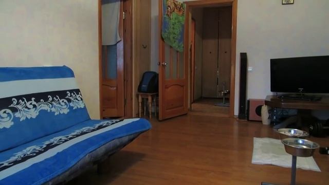 Дратхаар Вольф, 4 мес. просвещаться моему учителю Шпарёву Н смотреть онлайн